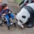 老同學返老還童健行動物園