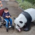 老同學返老還童健行動物園