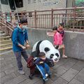 老同學返老還童健行動物園