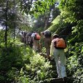 展抱登山活動集錦