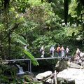 展抱登山活動集錦