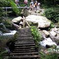 展抱登山活動集錦