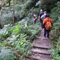 展抱登山活動集錦