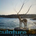 第十六屆邦迪海岸雕塑展海報(2012)