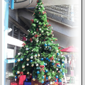 2013【耶誕巡禮】「聖誕樹集合！」