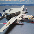 Grumman E-2 Hawkeye CAG of VAW-117 Wallbangers