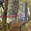 太平山莊原始林步道