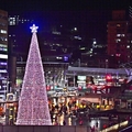 基隆海洋廣場聖誕樹