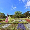 北投三層崎公園花海