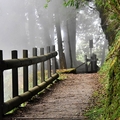 檜山巨木群步道