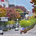 大邱市街景