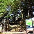 檜山巨木群步道登山口