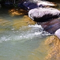 大溝溪親水步道