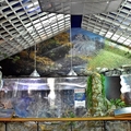 櫻花鉤吻鮭生態保育中心