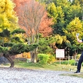 澄霖沉香味道森林館:日式庭園