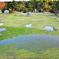 澄霖沉香味道森林館:日式庭園