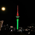 奧克蘭夜色 (Auckland ) 