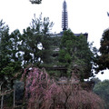 京都醍醐寺(五重塔) 4/03/2012