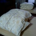 一月底的佛光山之旅
一樣無聊的放上媽媽的棉被照~~亂亂的那疊是我家笨蛋媽媽摺的，旁邊很整齊的是隔壁床不認識的阿姨摺的~~