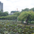 植物園20130704