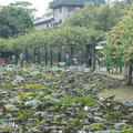 植物園20130704