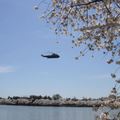 總統直升機飛過花叢