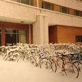宿舍門口埋在雪中的自行車