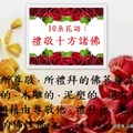 10朵花語x1