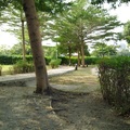 居家公園