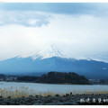 來到河口湖畔，仰望富士山別有韻味