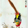 王雪濤，錦雞，畫家喜歡的題材，王雪濤的大特寫，好美！