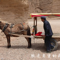 乘著驢車逛黃河石林