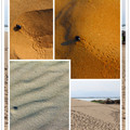 沙湖中一片濕地、一片藍天、一片沙漠的奇妙自然風光
