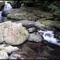 滿月園瀑布下的岩石各有不同的形態，以不動的姿態見證著蚋仔溪溪流的原始生命力。