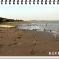 網子寮潟湖的沙洲，體驗烤蚵