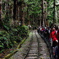 2019.3.23.太平山蹦蹦車及茂興懷舊步道