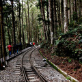 2019.3.23.太平山蹦蹦車及茂興懷舊步道