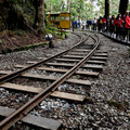 2019.3.23.太平山蹦蹦車及茂興懷舊步道