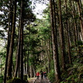 2019.3.23.太平山蹦蹦車及茂興懷舊步道