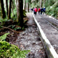 2019.3.23.太平山蹦蹦車及茂興懷舊步道