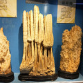 2018.8.27河南地質博物館