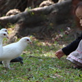 後花園