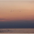 鱗山鼻漁港黃昏