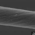 21.奈米碳管纖維