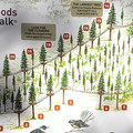 redwood treewalk map