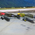 1/144 USAAF P-40E and P-40N