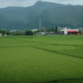 2012.06.09 慶修院. 夜宿遠雄悅來大飯店
2012.06.10 鯉魚潭, 富源蝴蝶谷森林遊樂區, 林田山林業文化園區,
           光復糖廠, 馬太鞍濕地.