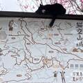 2026/02/25 台北木柵貓空一日遊