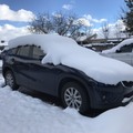 2016第一場冬雪