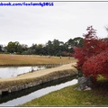 20161123》岡山後樂園